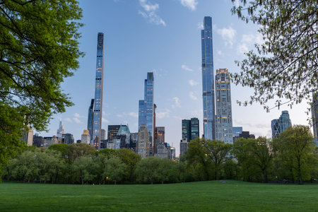 Green lawn in Central Park at sunset with New York skyscrapers, warm light and urban nature contrast