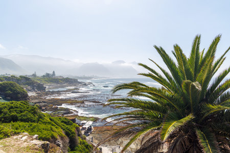 Picturesque ocean coastline in South Africa with rocky shores and beautiful natural scenery