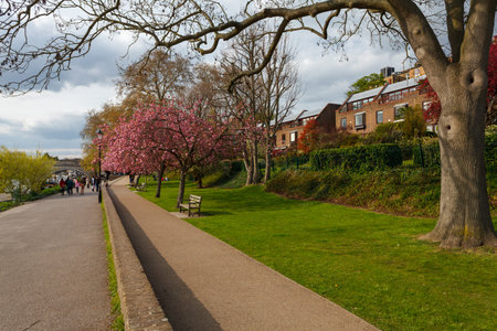 London, United Kingdom - April 14 2012: Public parks and green spaces in London with trees, lawns...