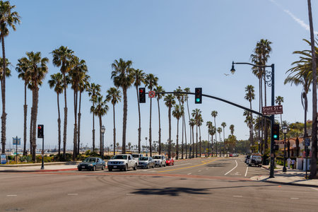 Santa Barbara, California, USA - April 20 2023: Palm trees and street
