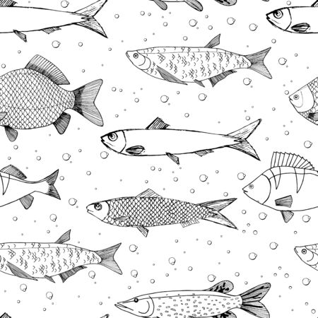 Seamless vector sketches of sea and river fish animal. Pike, carp, perch, sardine isolated fish sketch, sport or fish market theme. Prints for clothing, textiles, paper and web.のイラスト素材