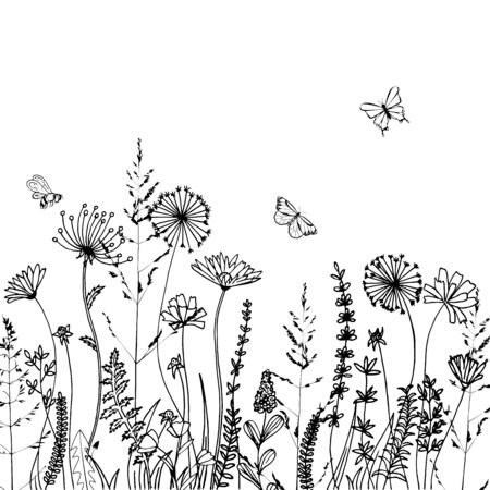 Black silhouettes of grass, spikes and herbs isolated on white background. Hand drawn sketch flowers and bees. Coloring book page design, elements for home decor and textile.のイラスト素材