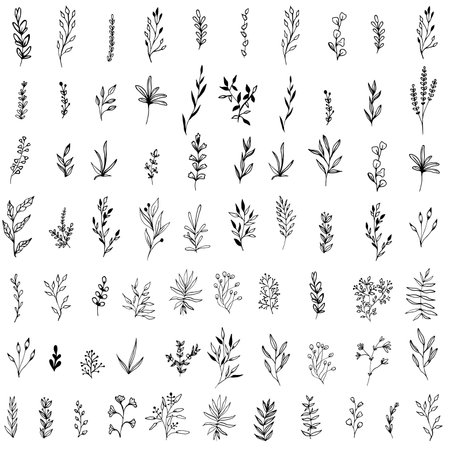 Set sketch style leaves and twigs. Beautiful black twigs and leavesのイラスト素材