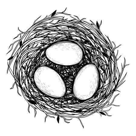 Vector illustration of hand drawn nest with eggs.のイラスト素材