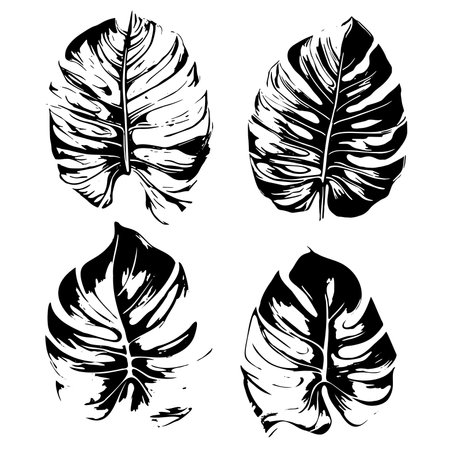 Sketch tropical monstera leaves, set.のイラスト素材