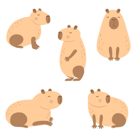 Capybara animal set isolated on white backgroundのイラスト素材