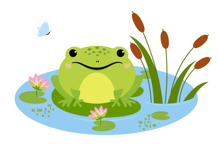 Cartoon frog sitting in pond, cute amphibia. Green toad in natural habitat, froggy water animal in pond with water lilies and butterflyのイラスト素材