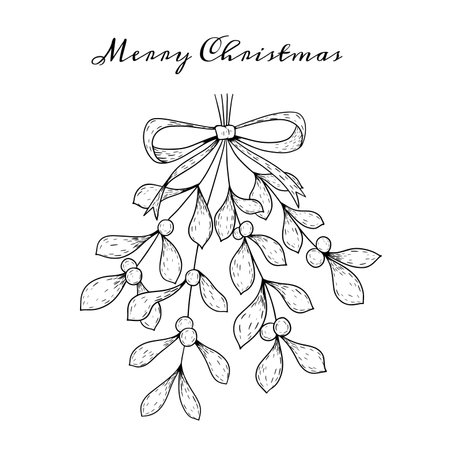 Hand Drawn Christmas Mistletoe Leaves Branch with Berries. Hand drawn line winter plant, herb with elegant leaves for Christmas invitationのイラスト素材