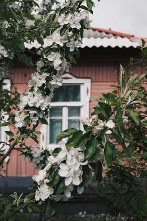 villageのeditorial素材