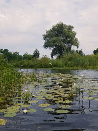 Landscapeのeditorial素材