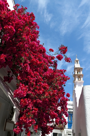 Traditional village at Mykonos island in Greeceの写真素材