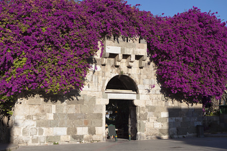 The ancient gate of Greek and Roman city at Kos island in Greeceの写真素材