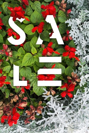 Sale . Red flowers White letters