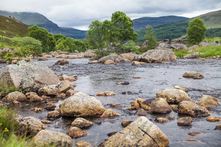 Scottish Highlandsの写真素材
