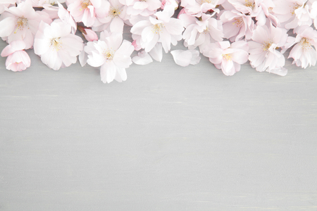 Floral spring backgroundの写真素材