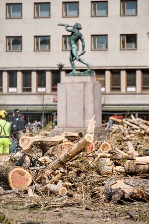 Joensuu, Finland - May 16, 2019: the cut-down old trees in the city park on the background statue of Freedom.のeditorial素材