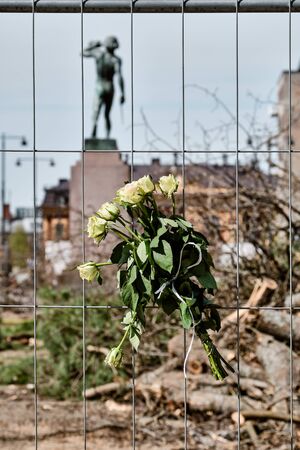 Joensuu, Finland - May 16, 2019: A bouquet of roses hangs on the fence, people mourn the cut-down trees in the park.のeditorial素材