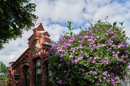 Helsinki, Finland - August 1, 2020: the Helsinki Winter Garden.のeditorial素材
