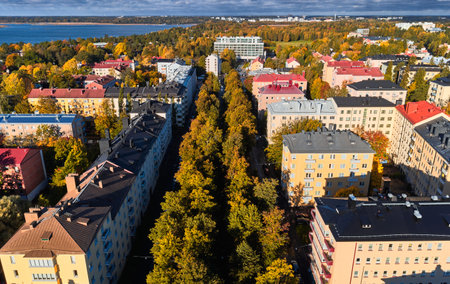 Aerial view of the city street with many yellow trees. The autumn cityscape, Helsinki, Finland.の写真素材
