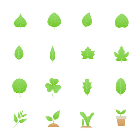 Leafs Icons. Set of Nature Vector Illustration Color Icons Flat Style.のイラスト素材