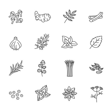 This is graphics vector Illustration icons. Ready to use for websites, social medias, presentations, applications, info graphic and illustrations.のイラスト素材