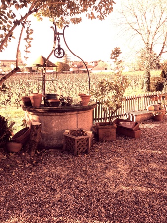 View on a vineyard and wellの素材