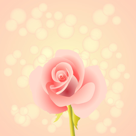 Rose Backgroundのイラスト素材