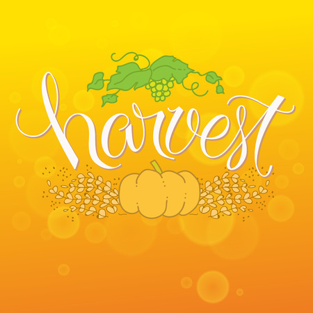 Hand Lettered Text with Vines and Pumpkin on a bokeh orange background.のイラスト素材