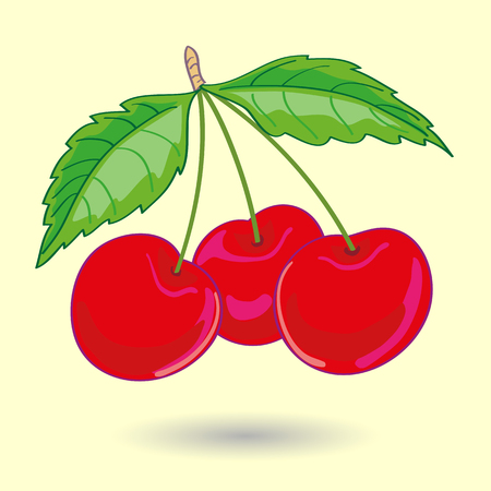 Three Cherries with Leaves Vector Illustration.のイラスト素材