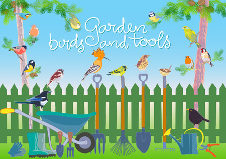 Garden birds and tools set. Hand made vector illustrationのイラスト素材