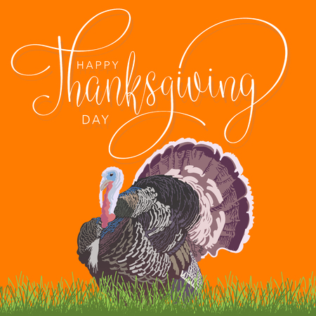 Happy thanksgiving day hand letter with turkey. Handmade vector illustrationのイラスト素材