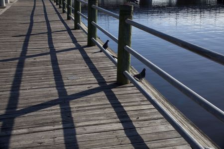 Walk along waterの写真素材