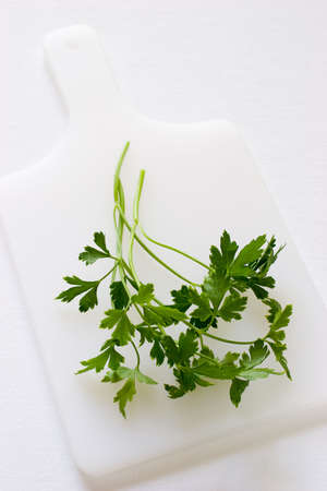 A bunch of parsley ready to be added to any dishの写真素材