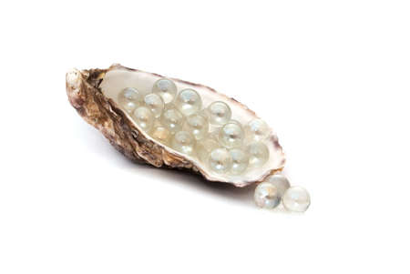 shell, filled with transparent balls