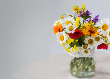 bouquet of wild flowers on a gray background