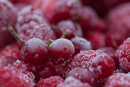 Frozen berry red currants and raspberriesの写真素材