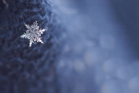 Snowflake on a blue background with muted bokeh