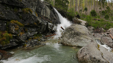 Scenic view of waterfall in forestの写真素材