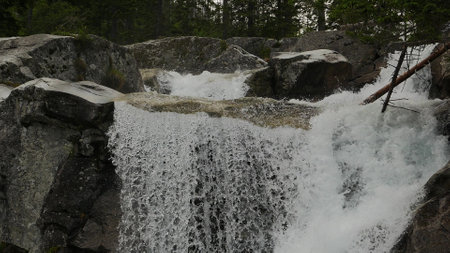 Scenic view of waterfall in forestの写真素材
