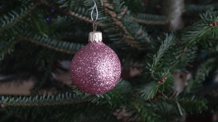 Christmas ball hanging on a Christmas treeの写真素材