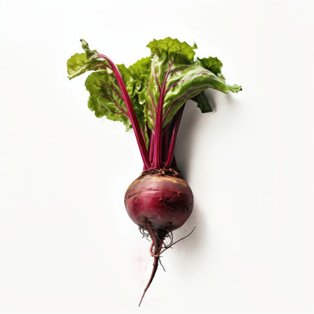 Beetroot with leaves isolated on white background. Generative AIの素材