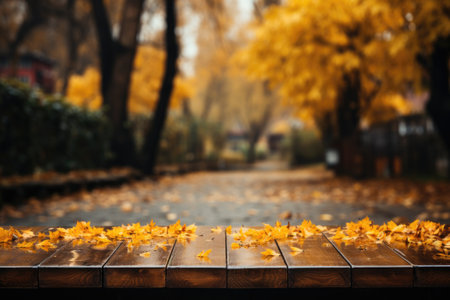 Wooden boards on the background of a blurred autumn park.の素材