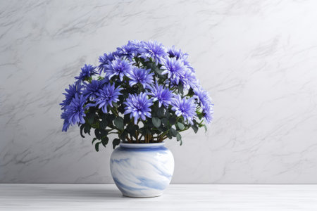 Beautiful bush of blue chrysanthemums in flower pot. Autumn flowers.の素材