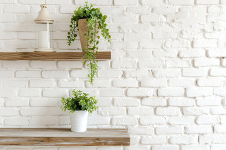 Modern white brick wall with shelves and houseplant.の素材