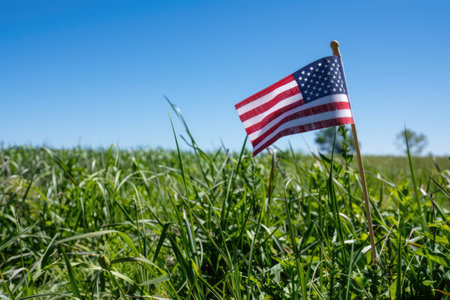 American flag on grass with clear blue skyの素材