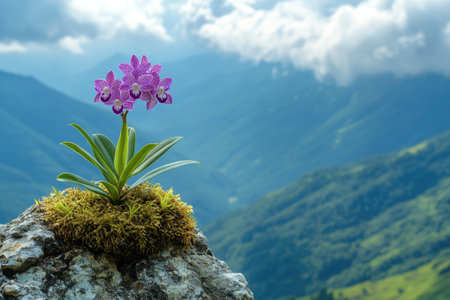 Single purple orchid growing on a mossy rock with mountains in the backgroundの素材