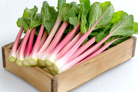 Freshly harvested rhubarb stalks with leaves are neatly arranged in a wooden crate, ready for culinary useの素材