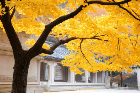 Branches with golden autumn leaves covering a traditional Chinese temple during fall seasonの素材