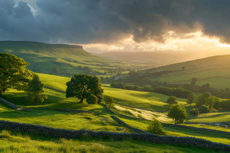 Rolling green hills and pastures bathed in golden light at sunset in Yorkshire Dales National Park, Englandの素材