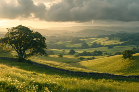 Stunning sunset over the tranquil landscape of the Yorkshire Dales National Park, featuring lush meadows, dry stone walls, and scattered treesの素材
